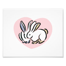 bunnies in pink heart photograph