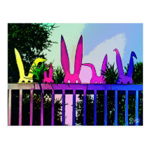 Bunnies on Fence in Hill Country Post Cards