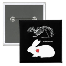 Bunny Anatomy Pin