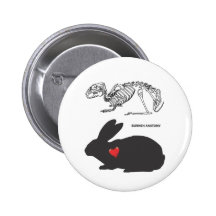 Bunny Anatomy Pinback Button
