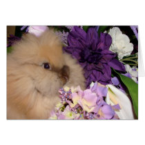Bunny and Blooms 09 Cards