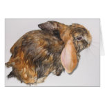 Bunny Bathtime Card