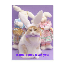 Bunny Bubba 3