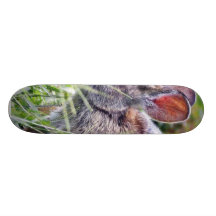 Bunny Bunnies Rabbits Skateboard Deck