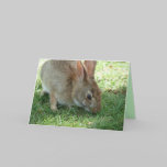 Bunny card cards