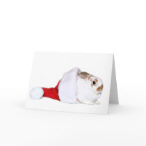 Bunny Christmas Cards