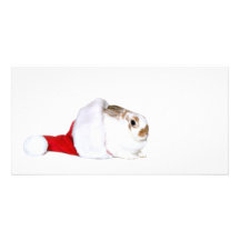 Bunny Christmas Photo Card Template