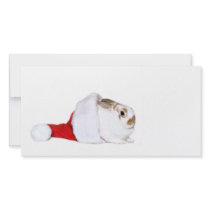 Bunny Christmas Photo Card Template