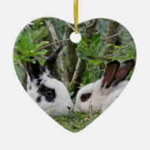 Bunny Couple Christmas Tree Ornaments