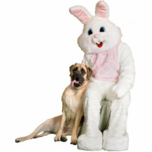 Bunny Cutout Photo Cutout