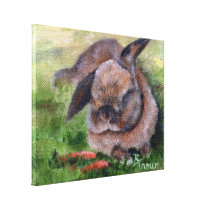 Bunny Dreams Canvas Prints