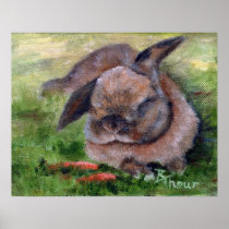 Bunny Dreams Print
