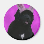 Bunny ears magnet