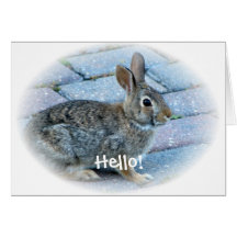 Bunny Greeting Card by Elaine