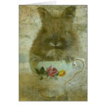 Bunny in Teacup Greeting Cards