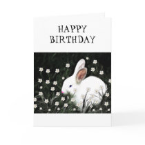 Bunny Love Greeting Card
