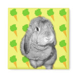 Bunny Love Magnets