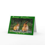 BUNNY LOVE Wild Rabbit Collection