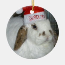 bunny lovers ornament