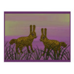 Bunny Luv Sunset Post Card