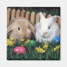 bunny magnet 2