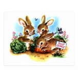 Bunny Patch Postcard