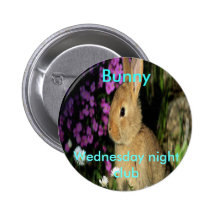 Bunny Pins