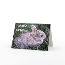 Bunny Rabbit Birthday Card
