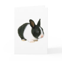 Bunny Rabbit Black & White Greeting Cards