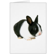 Bunny Rabbit Black & White Greeting Cards