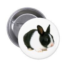 Bunny Rabbit Black & White Pins