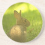 Bunny Rabbit  Coaster