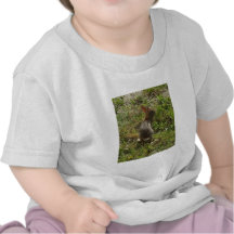 Bunny Rabbit Hare Stuff Tee Shirts