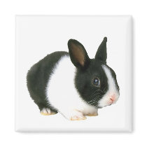 Bunny Rabbit Magnet