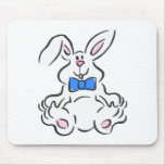 Bunny rabbit