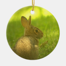 Bunny Rabbit  Ornament