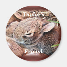 BunnyRdMg-customize Refrigerator Magnet