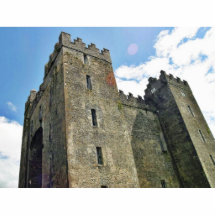 Bunratty Castle Photo Cutouts