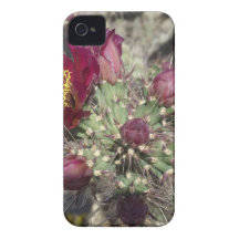 Burgundy Cactus Flowers Case-Mate iPhone 4 Cases