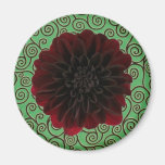 Burgundy Dahlia on Green Swirls Fridge Magnets