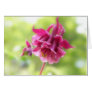 Burgundy Ruffles - Aquilegia! Card