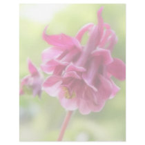 Burgundy Ruffles - Aquilegia! Letterhead Design