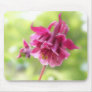 Burgundy Ruffles - Aquilegia! Mouse Pads