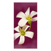 Burgundy Wine Picture Card