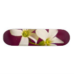 Burgundy Wine Skate Board