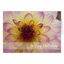 Burgundy, Yellow & White Dahlia Greeting Card