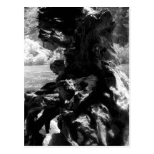 Burl Post Cards