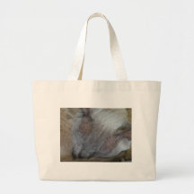 Burmese cat bag