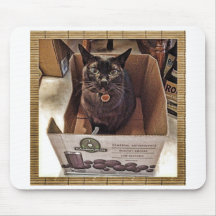 Burmese Cat in Juice Box Mouse Pad