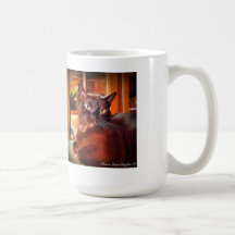 Burmese Cat Posing Before Curio Mugs
